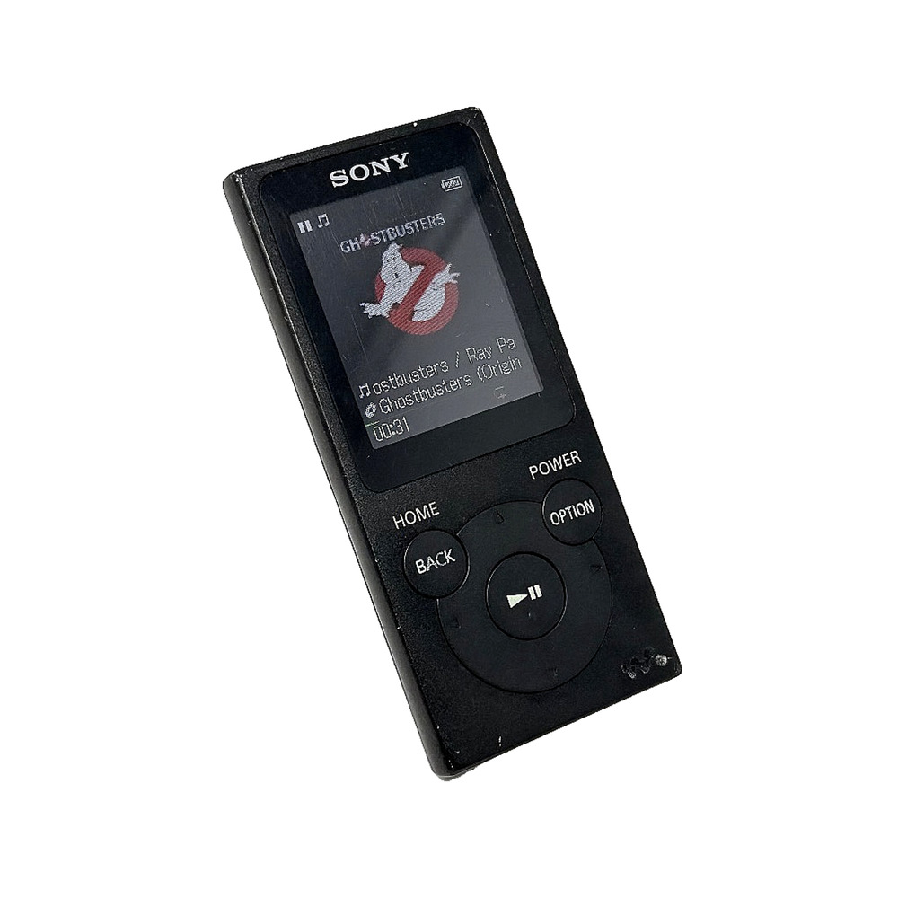 Sony Walkman NW-E394 8GB Digital Music Player FM Radio Tested Works